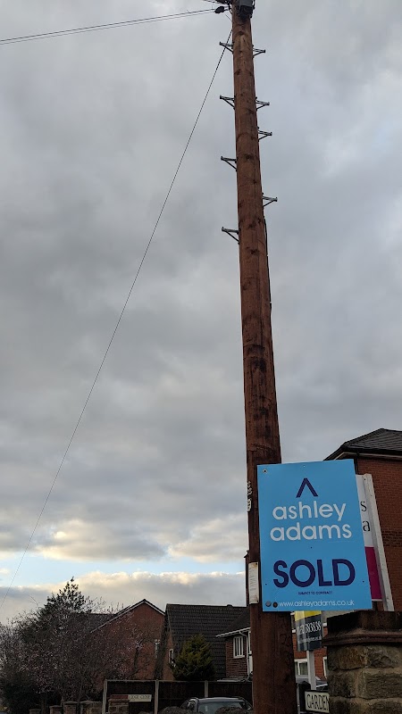 Ashley Adams Estate Agents Derby