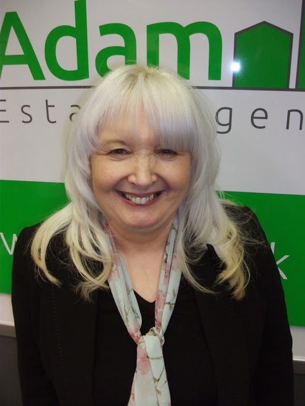 Lewis Adam Estate Agents
