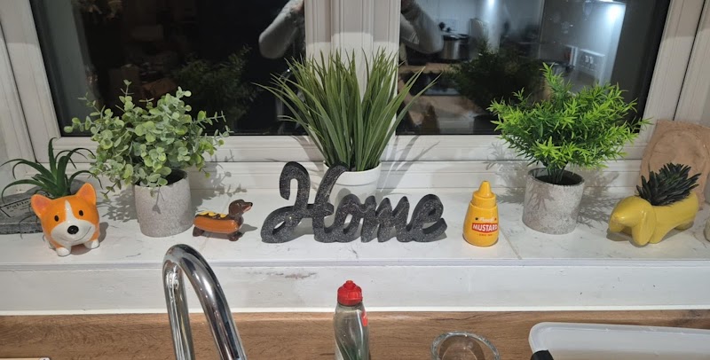 Wise Living Homes Ltd